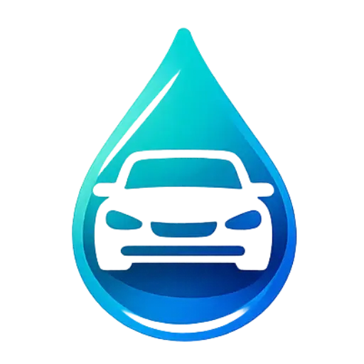 Lavage auto à domicile Binas